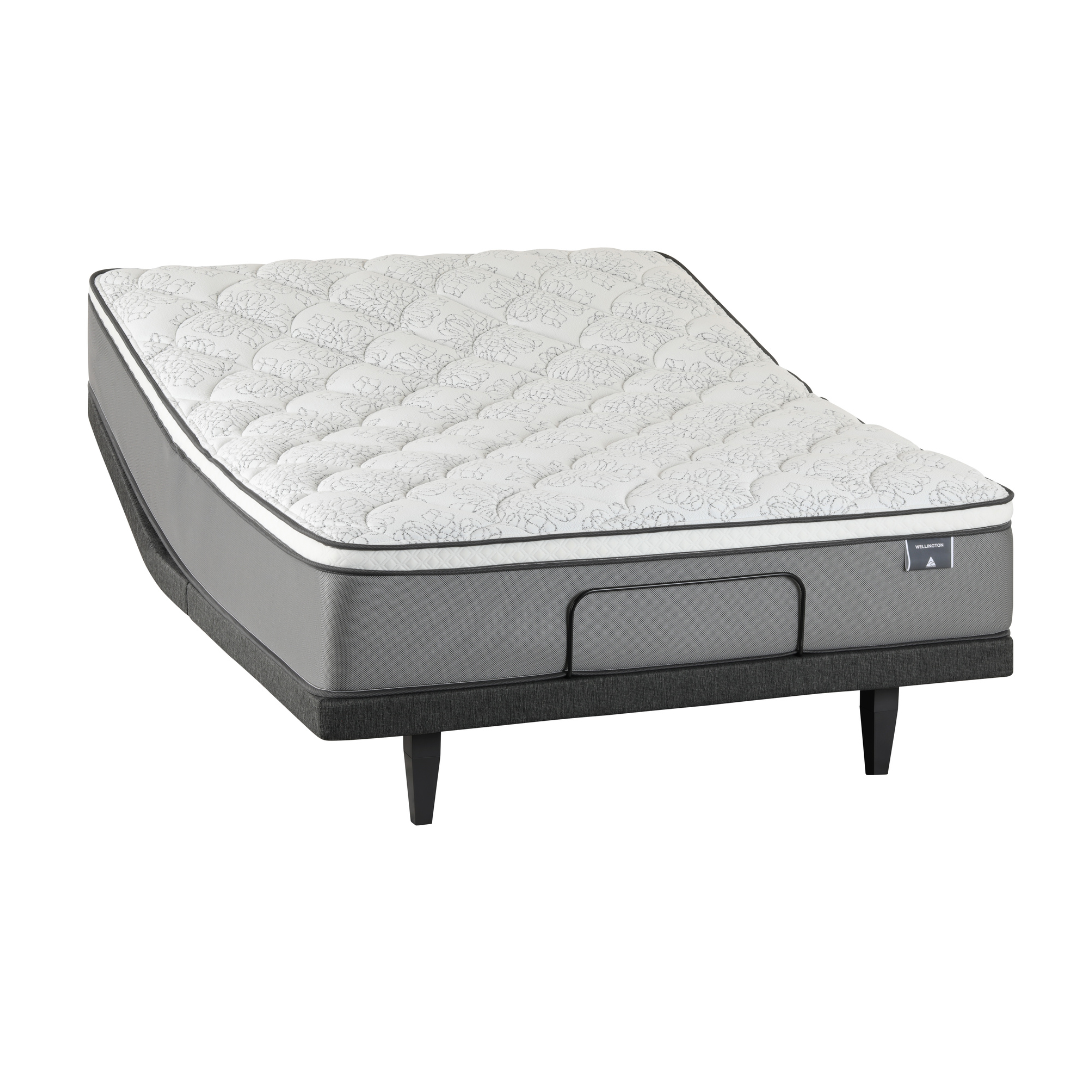 Mi Life 600 Delta Dream Adjustable Bed