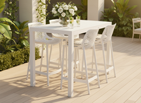 Matzo Nikita 5- Piece Bar Set