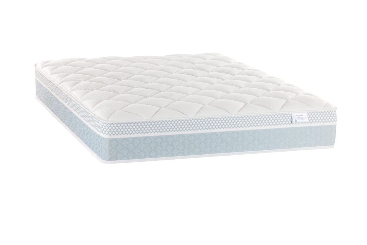 Sleepyhead Sleepyhead For You Ultimate – MacLeod's Furniture