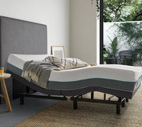 True Motion 1000 Adjustable Bed