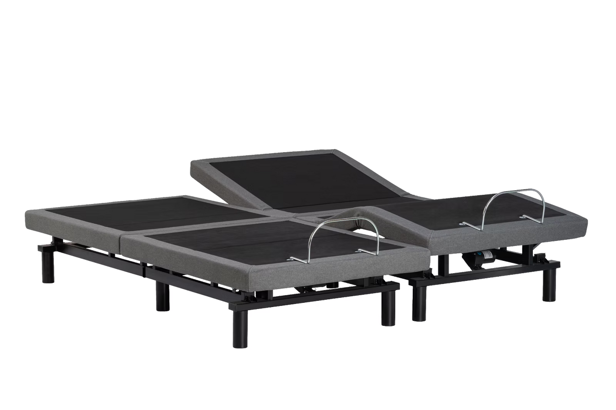 True Motion 1100 Adjustable Bed