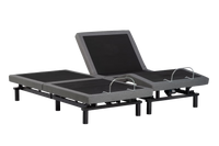 True Motion 1100 Adjustable Bed