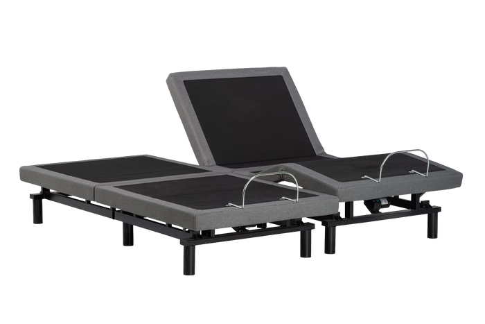 True Motion 600 Adjustable Base