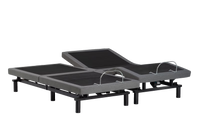 True Motion 600 Adjustable Base