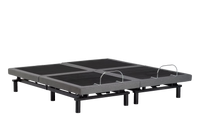 True Motion 1100 Adjustable Bed
