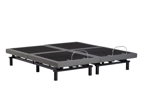 True Motion 1100 Adjustable Bed