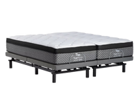 True Motion 600 Adjustable Base