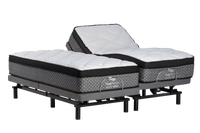 True Motion 1100 Adjustable Bed