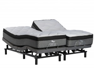True Motion 1000 Adjustable Bed 